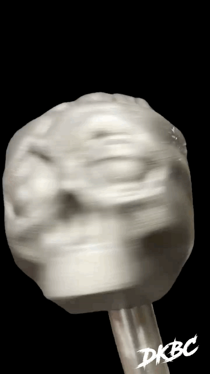 The BRAINCASE - 8KG Mace head