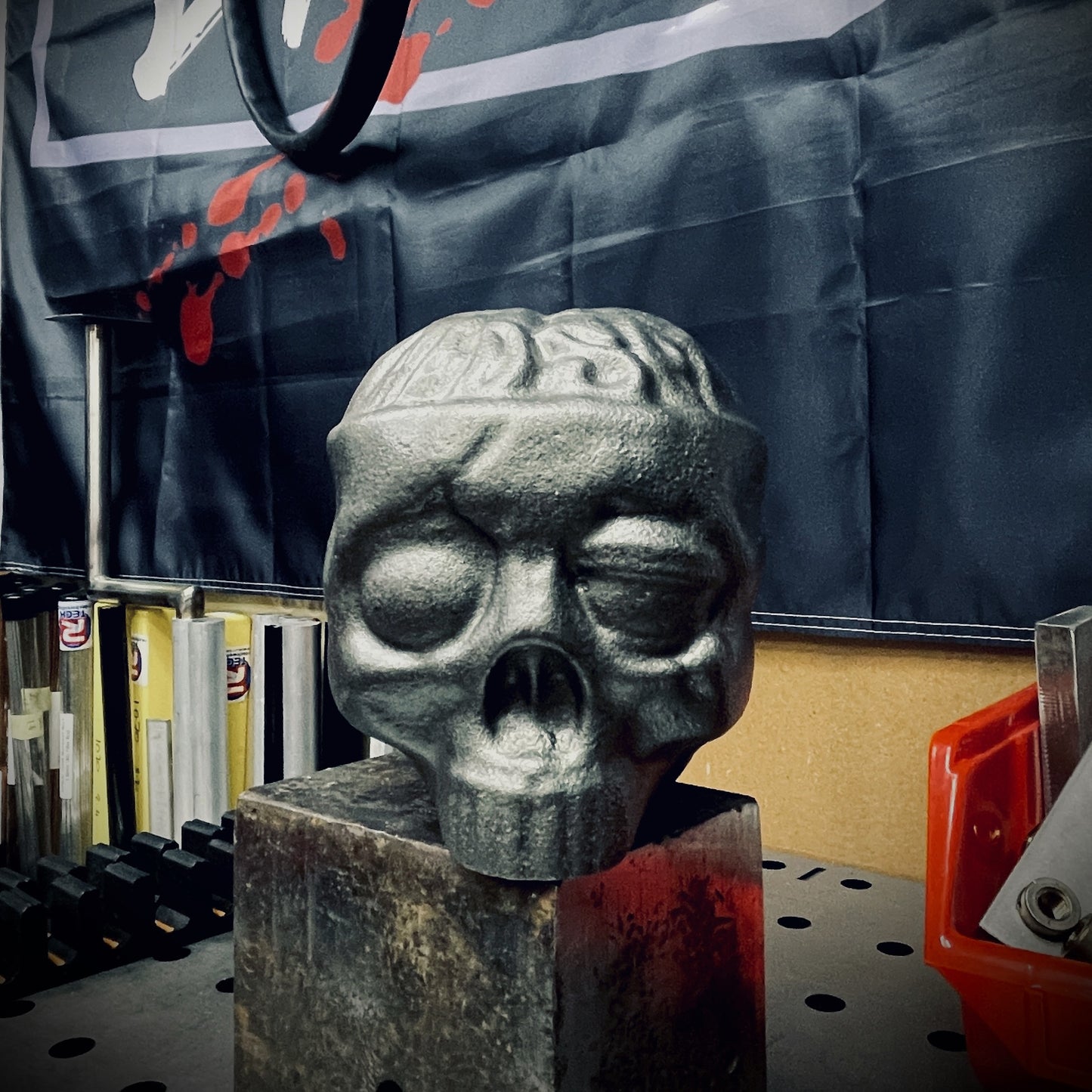 The BRAINCASE - 8KG Mace head